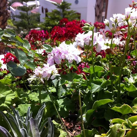 Ozukara 2 Апарт-отель 3*