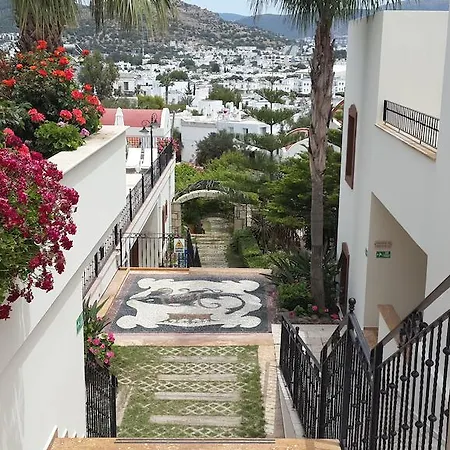 Ozukara 2 3* Gümbet