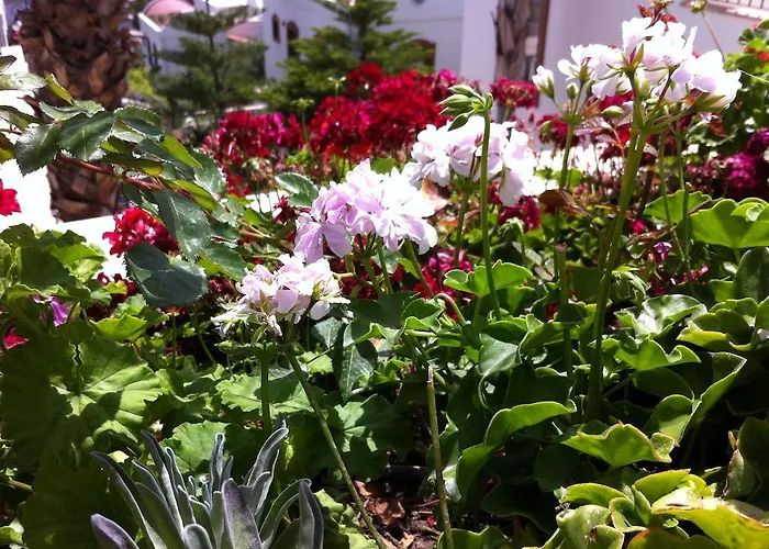 Ozukara 2 Hotel apartamentowy 3*