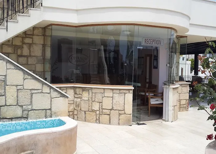 Ozukara 2 Hotel apartamentowy